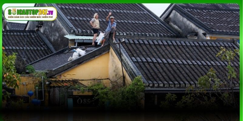 Giải mã chi tiết từng giấc chiêm bao có liên quan